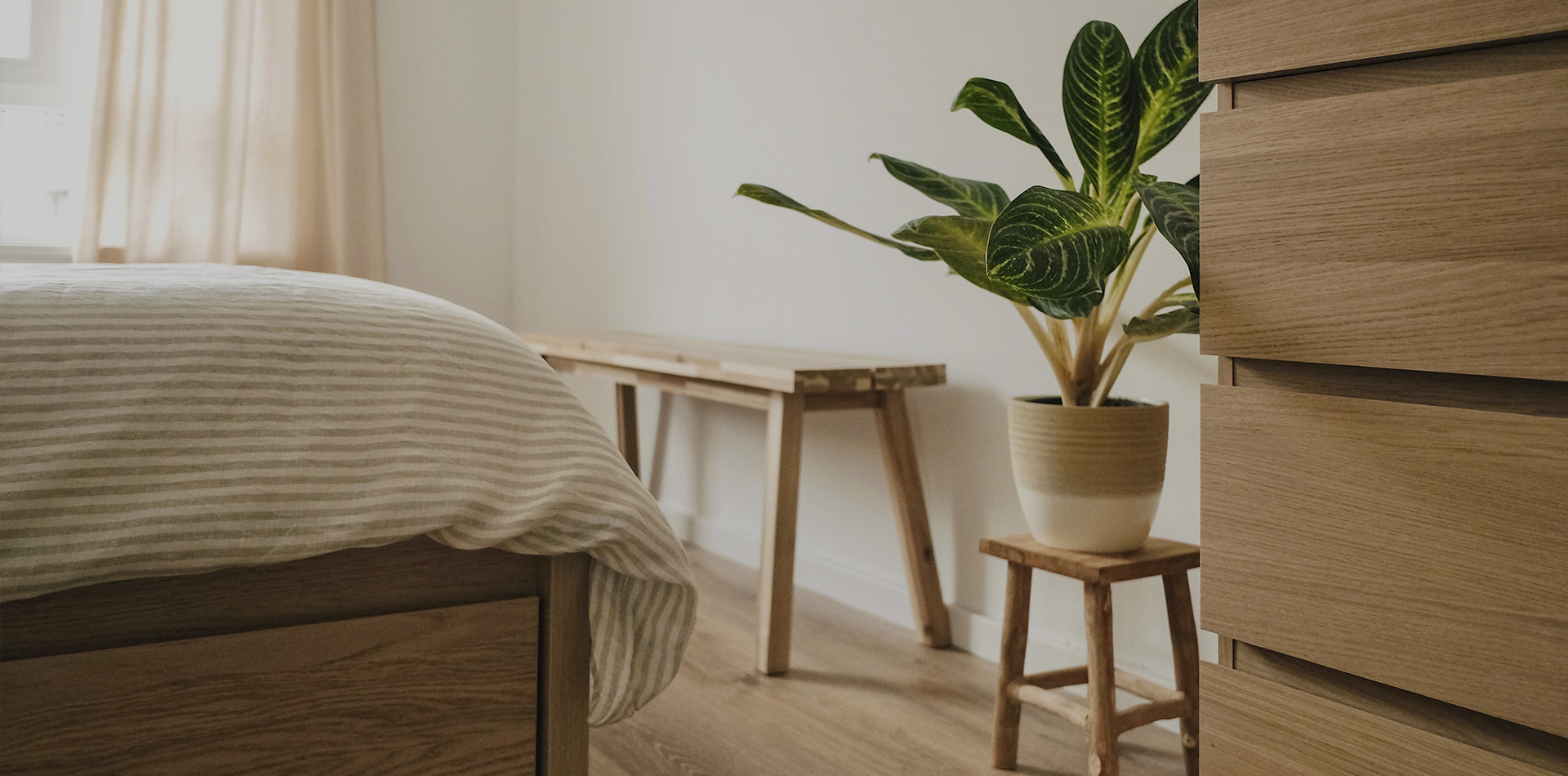 專注木作31年。