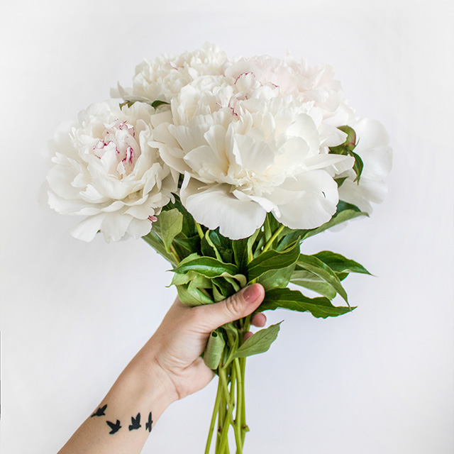 京都二次會撮影カメラマン